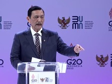 Ternyata Ini yang Bikin Luhut Geram Sebut Singapura Brengsek!