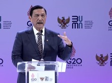 Kesaksian Luhut, Banyak Negara Maju Minta Tolong ke Jokowi