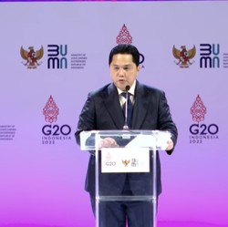 PTBA Bakal Ambil Alih PLTU PLN, Ini Kata Erick Thohir
