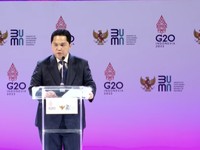 PTBA Bakal Ambil Alih PLTU PLN, Ini Kata Erick Thohir
