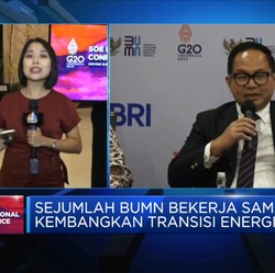 Wamen BUMN Sebut Inklusi Keuangan di RI Tinggi, Tapi...