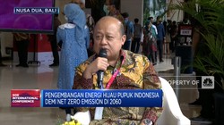 Optimisme Pupuk Indonesia Garap Proyek Green & Blue Ammonia