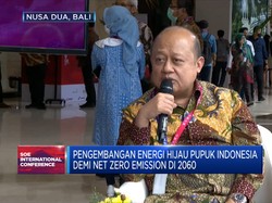 Optimisme Pupuk Indonesia Garap Proyek Green & Blue Ammonia