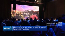 Pemerintah Janjikan Insentif 'Manis' Bagi Investor IKN