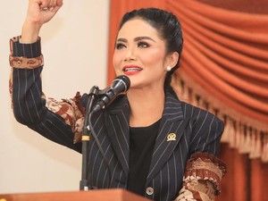 Pengakuan Sosok Ternama yang Gagal Comeback ke Senayan