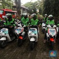 Tak Ada Payung Hukum, Ojol Grab-Gojek Profesi Ilegal?