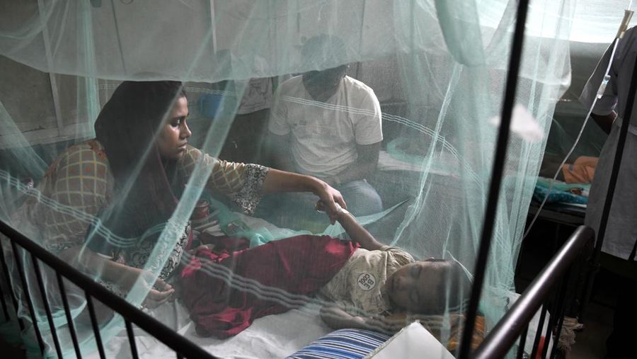 Children are kept inside mosquito nets as they are hospitalized due to dengue fever at Dhaka Child Hospital in Dhaka, Bangladesh on October 19, 2022.  Bangladesh logged its highest daily caseload of dengue fever on Tuesday, with 900 cases reported over the past 24 hours, raising the total tally to 26,938 in the country this year, according to the Media Report. (Photo by Syed Mahamudur Rahman/NurPhoto via Getty Images)