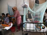 Negara Ini Lagi Berjuang Hadapi DBD, Ada 900 Kasus Sehari