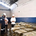 Jokowi Bakal Setop Ekspor Timah, Produksi RI Capai Ribuan Ton