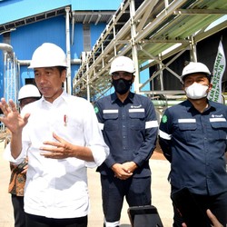 Ini yang Buat Jokowi Hitung-Hitung Jelang Ekspor Timah Distop
