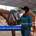 Berkuda, Hobi Mahal yang Jadi Pendatang Cuan?