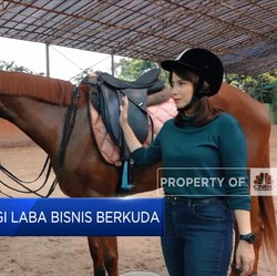 Berkuda, Hobi Mahal yang Jadi Pendatang Cuan?