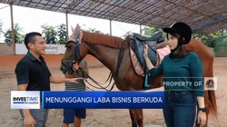 Berkuda, Hobi Mahal yang Jadi Pendatang Cuan?