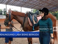 Berkuda, Hobi Mahal yang Jadi Pendatang Cuan?