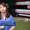 Dari 245 Kasus Gagal Ginjal Akut, 141 Pasien Meninggal Dunia