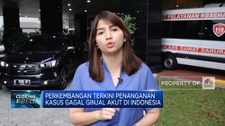 Dari 245 Kasus Gagal Ginjal Akut, 141 Pasien Meninggal Dunia
