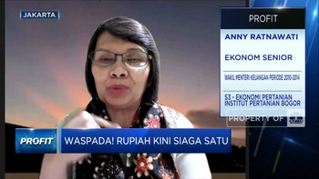 Ekonom Senior Ungkap Kunci Hadapi Pelemahan Rupiah, Apa Saja?