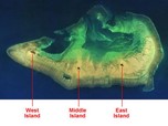 Polemik Pulau Pasir Dekat NTT, Kemenlu: Itu Punya Australia