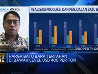 Harga Batu Bara Turun Bikin Pesta Durian Runtuh Bubar?