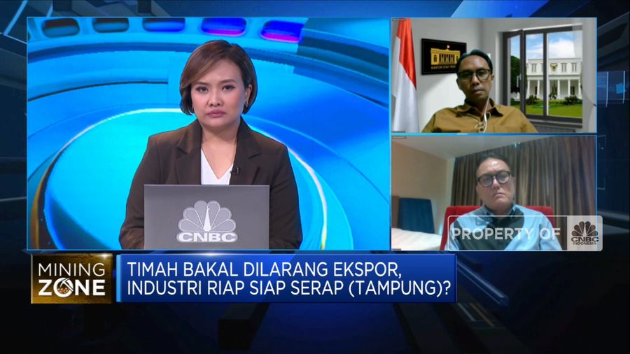 Begini Hitung-hitungan Pemerintah Setop Ekspor Timah RI (CNBC Indonesia TV)