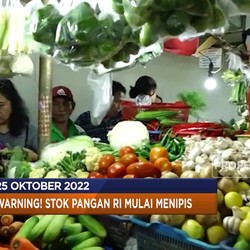 Stok Pangan RI Menipis Hingga Inflasi Negeri Singa Meroket