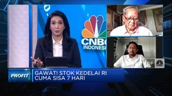 Produsen Tahu: Meski Harga Naik, Stok Kedelai Cukup 1,5 Bulan