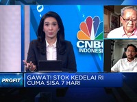 Produsen Tahu: Meski Harga Naik, Stok Kedelai Cukup 1,5 Bulan