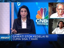 Produsen Tahu: Meski Harga Naik, Stok Kedelai Cukup 1,5 Bulan