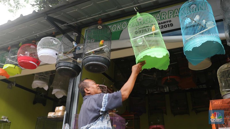 Suasana penjualan hewan di Pasar Hewan Barito, Kebayoran Baru, Jakarta, Selasa (25/10/2022). Sebanyak 85 kios di Pasar Hewan Barito kembali beroperasi setelah rampung direnovasi selama lima bulan untuk memberikan kenyamanan bagi pedagang dan pembeli. (CNBC Indonesia/ Muhammad Sabki)