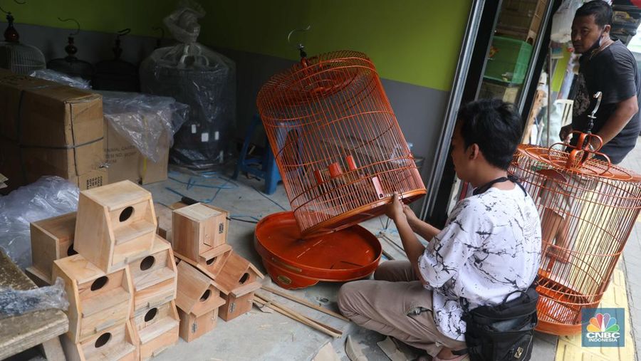 Suasana penjualan hewan di Pasar Hewan Barito, Kebayoran Baru, Jakarta, Selasa (25/10/2022). Sebanyak 85 kios di Pasar Hewan Barito kembali beroperasi setelah rampung direnovasi selama lima bulan untuk memberikan kenyamanan bagi pedagang dan pembeli. (CNBC Indonesia/ Muhammad Sabki)