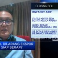 Terungkap! Ini Hilirisasi Timah yang Diinginkan Jokowi
