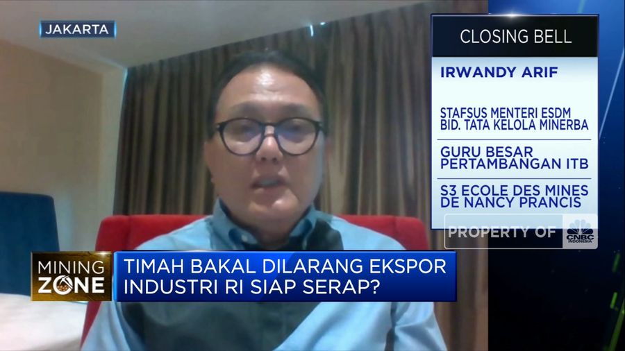 Pemerintah Bentuk Pokja Percepat Hilirisasi, Ini Tugasnya! (CNBC Indonesia TV)