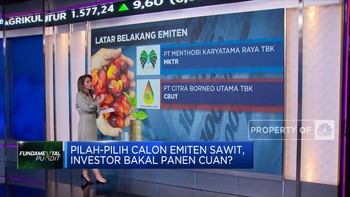 MKTR & CBUT, Calon Emiten Dari Bisnis CPO Siap IPO Akhir 2022