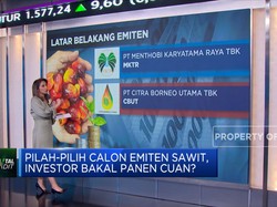 MKTR & CBUT, Calon Emiten Dari Bisnis CPO Siap IPO Akhir 2022