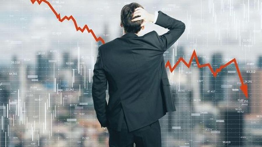 Investor
