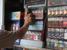 Daftar Rokok Murah RI: Ada yang Cuma Rp 8.000 Per Bungkus!