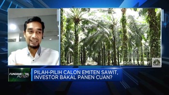 Ramai Emiten Sawit Mengantri, Bakal Cuan yang Mana ya?