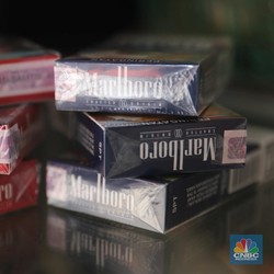 Rokok Murah Serbu Pasar RI, Pengusaha Kecil Jadi Korban?