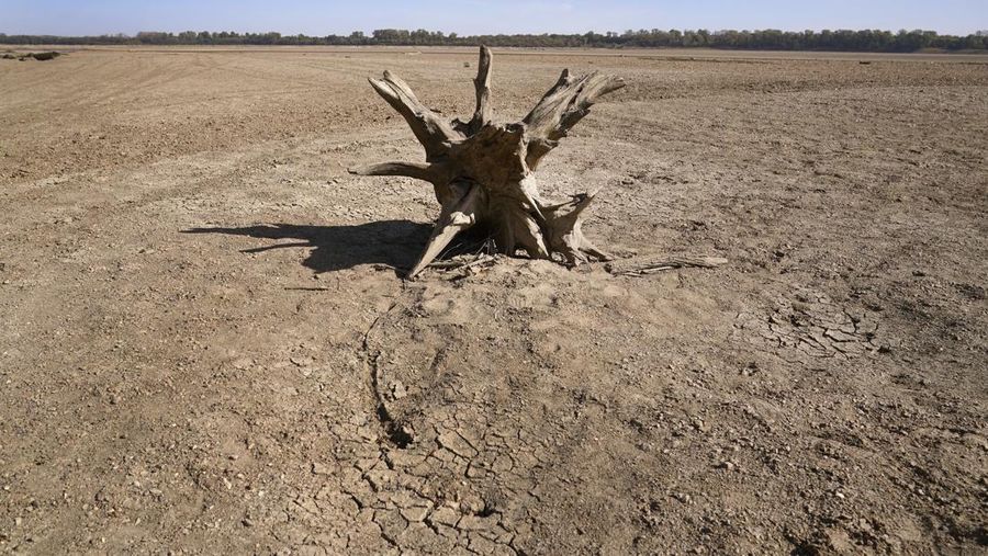 Kondisi dasar Sungai Mississippi yang mengering di dekat Portageville, Mo, Kamis (20/10/2022). Sungai Mississippi menghadapi kekeringan dengan rekor terendah selama satu dekade. Hal ini didasarkan dari hasil pengukuran 40 alat pengukur ketinggian sungai yang tercantum dalam data National Oceanic and Atmospheric Administration (NOAA). (AP Photo/Jeff Roberson)