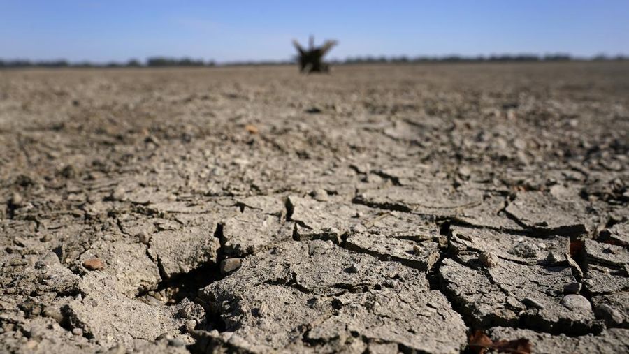 Kondisi dasar Sungai Mississippi yang mengering di dekat Portageville, Mo, Kamis (20/10/2022). Sungai Mississippi menghadapi kekeringan dengan rekor terendah selama satu dekade. Hal ini didasarkan dari hasil pengukuran 40 alat pengukur ketinggian sungai yang tercantum dalam data National Oceanic and Atmospheric Administration (NOAA). (AP Photo/Jeff Roberson)