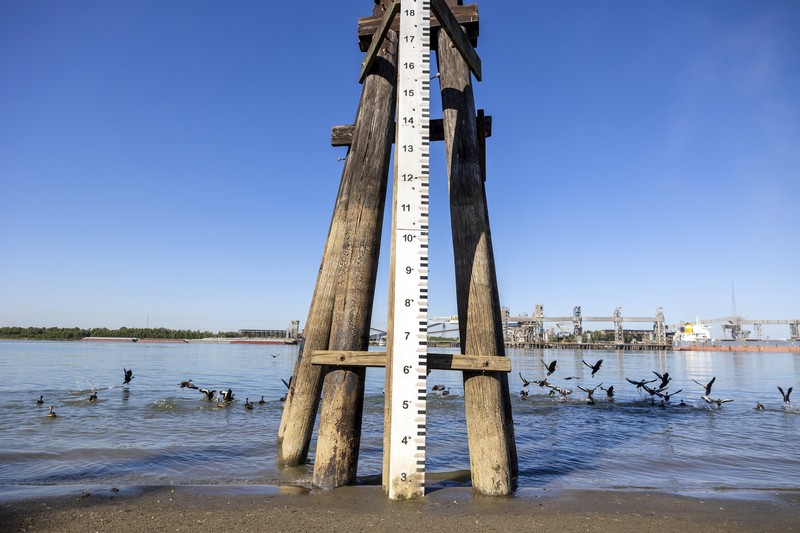 Sungai Mississippi Surut dan mencapai rekor terendah dalam sejarah Foto udara saat Sungai Mississippi yang mengering di dekat Portageville, Mo, Kamis (20/10/2022). Sungai Mississippi menghadapi kekeringan dengan rekor terendah selama satu dekade. Hal ini didasarkan dari hasil pengukuran 40 alat pengukur ketinggian sungai yang tercantum dalam data National Oceanic and Atmospheric Administration (NOAA). (AP Photo/Jeff Roberson)