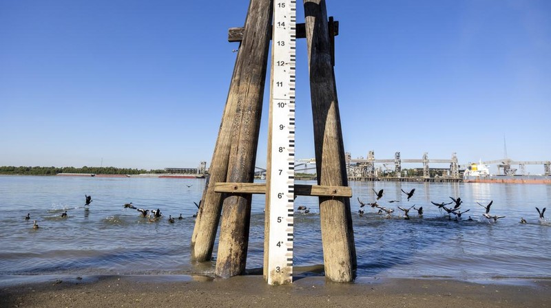 Kondisi dasar Sungai Mississippi yang mengering di dekat Portageville, Mo, Kamis (20/10/2022). Sungai Mississippi menghadapi kekeringan dengan rekor terendah selama satu dekade. Hal ini didasarkan dari hasil pengukuran 40 alat pengukur ketinggian sungai yang tercantum dalam data National Oceanic and Atmospheric Administration (NOAA). (AP Photo/Jeff Roberson)