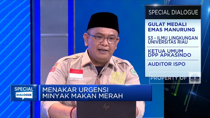 Apkasindo: Minyak Makan Merah Bukan Pesaing Minyak Sawit  (CNBC Indonesia TV)