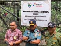 Jurus Pertamina Kawal Satwa Endemik Papua Barat