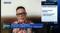 Harga Ayam di Pasar Terbang Tapi Peternak Masih Rugi, Kenapa?