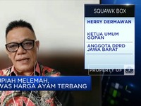 Harga Ayam di Pasar Terbang Tapi Peternak Masih Rugi, Kenapa?
