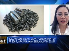 Hilirisasi Nikel Sukses, Pemerintah Dapat Durian Runtuh?