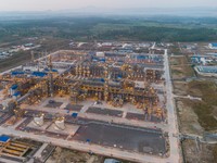 Intip Proyek Raksasa Kebanggaan Jokowi, Bikin Gas Jatim Luber