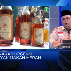 Mantap! 838 Koperasi Sawit Antri Produksi Minyak Makan Merah