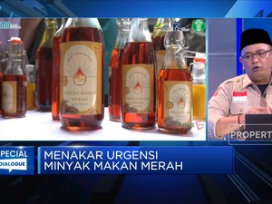 Mantap! 838 Koperasi Sawit Antri Produksi Minyak Makan Merah